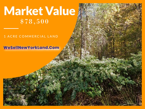 Land for Sale in Stormville, New York — 1.00            AC — $8,998.00
