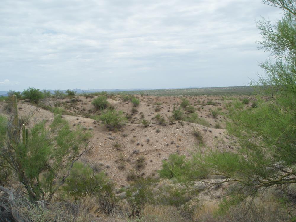 Land for Sale in Unincorporated County, Arizona — 80.00           AC — $400,000.00