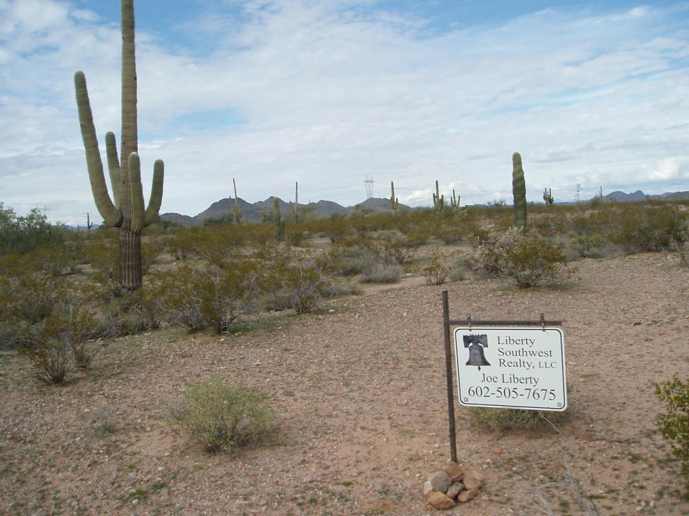 Land for Sale in Unincorporated County, Arizona — 30.00           AC — $93,750.00