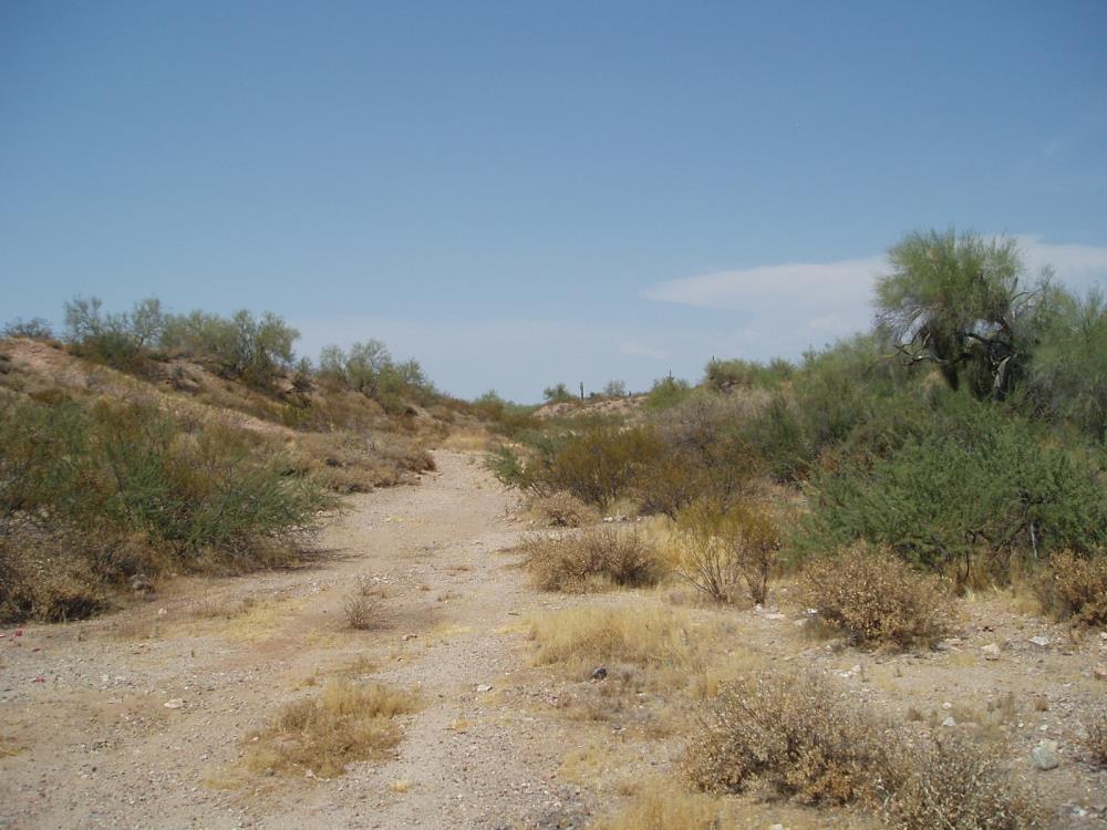 Land for Sale in Unincorporated County, Arizona — 25.00           AC — $85,000.00