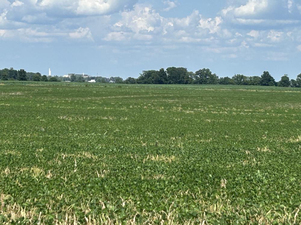 Land for Sale in Lizton, Indiana — 183.13          AC