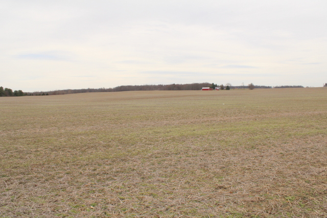 搜寻地产 Mt. Gilead, Ohio, 