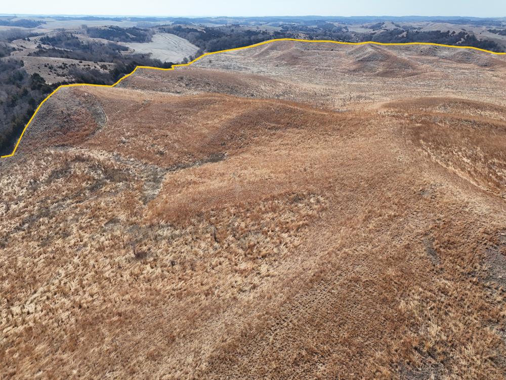 Land for Sale in Castana, Iowa — 398.03          AC — $2,210,000.00