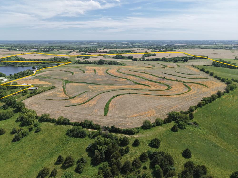 Land for Sale in Van Meter, Iowa — 276.64          AC