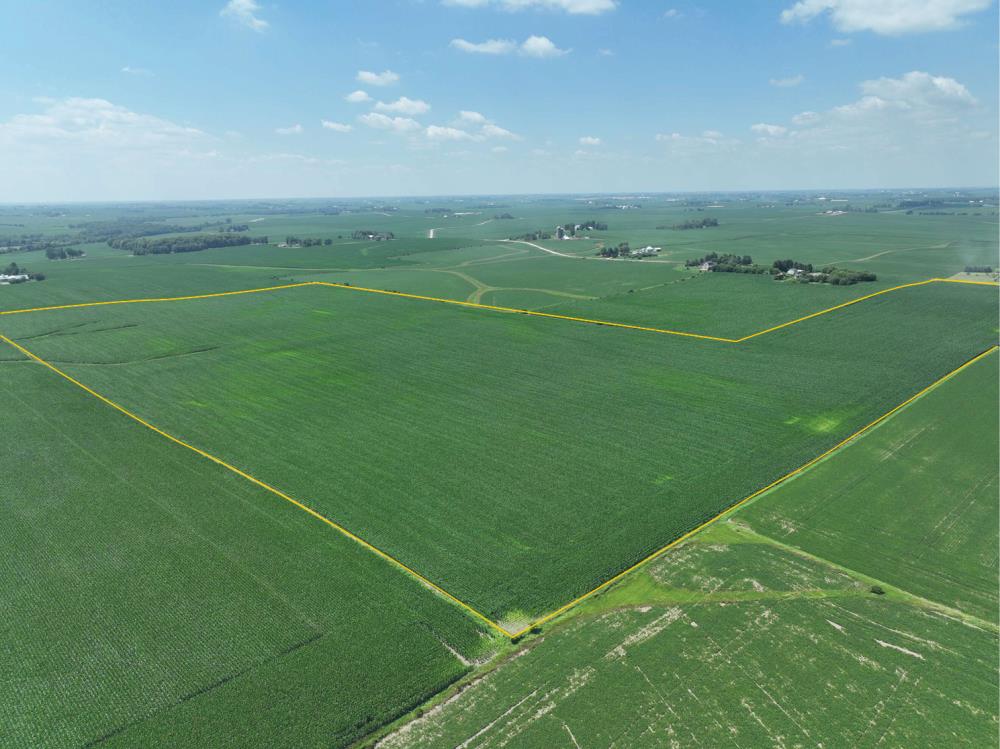 Land for Sale in West Liberty, Iowa — 100.00          AC — $1,750,000.00