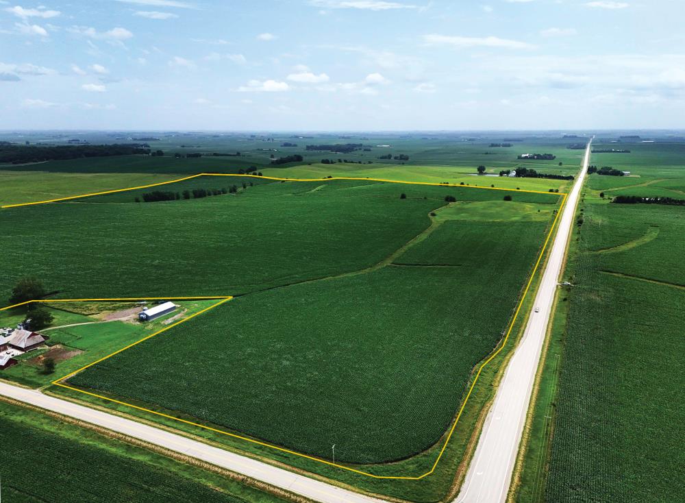 Land for Sale in Ackley, Iowa — 150.15          AC