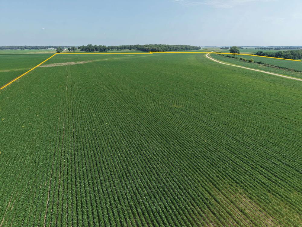 Land for Sale in Geneseo, Illinois — 74.50           AC