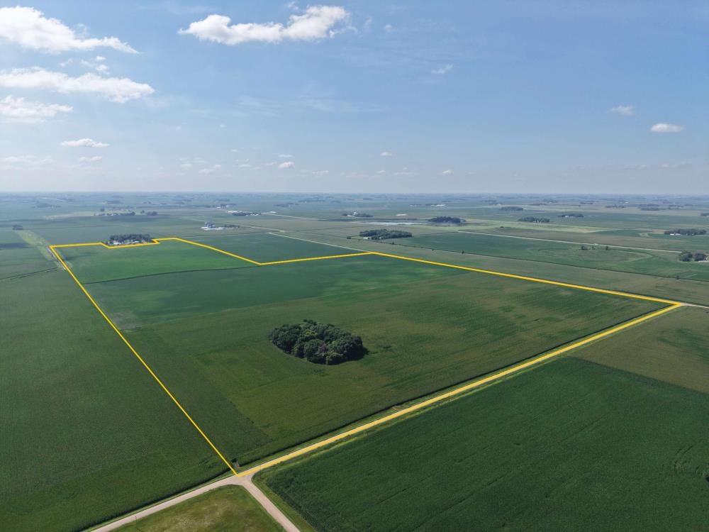 Land for Sale in Winthrop, Minnesota — 232.18          AC