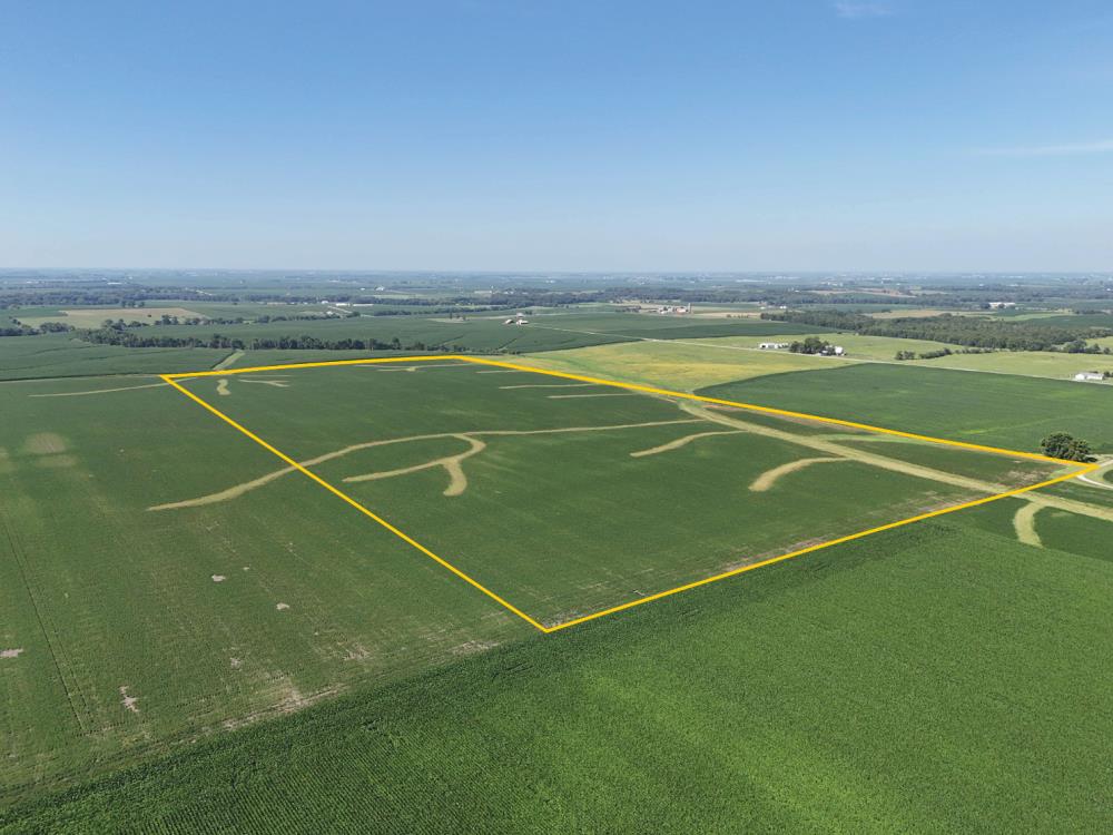 Land for Sale in Crawfordsville, Iowa — 80.00           AC — $1,120,000.00