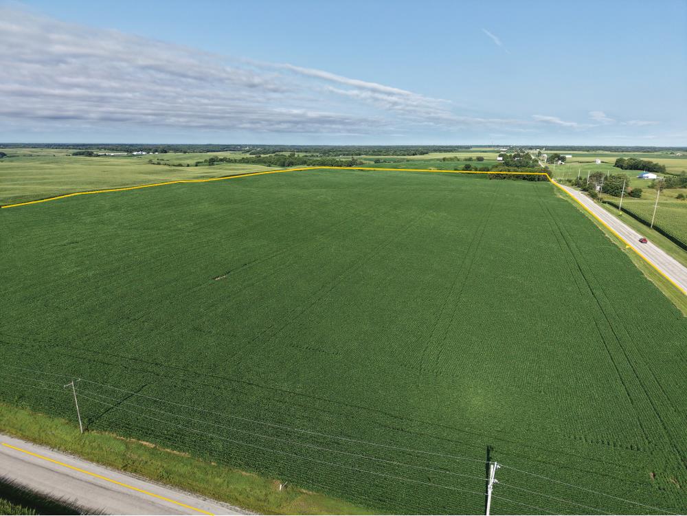Land for Sale in New Windsor, Illinois — 78.00           AC