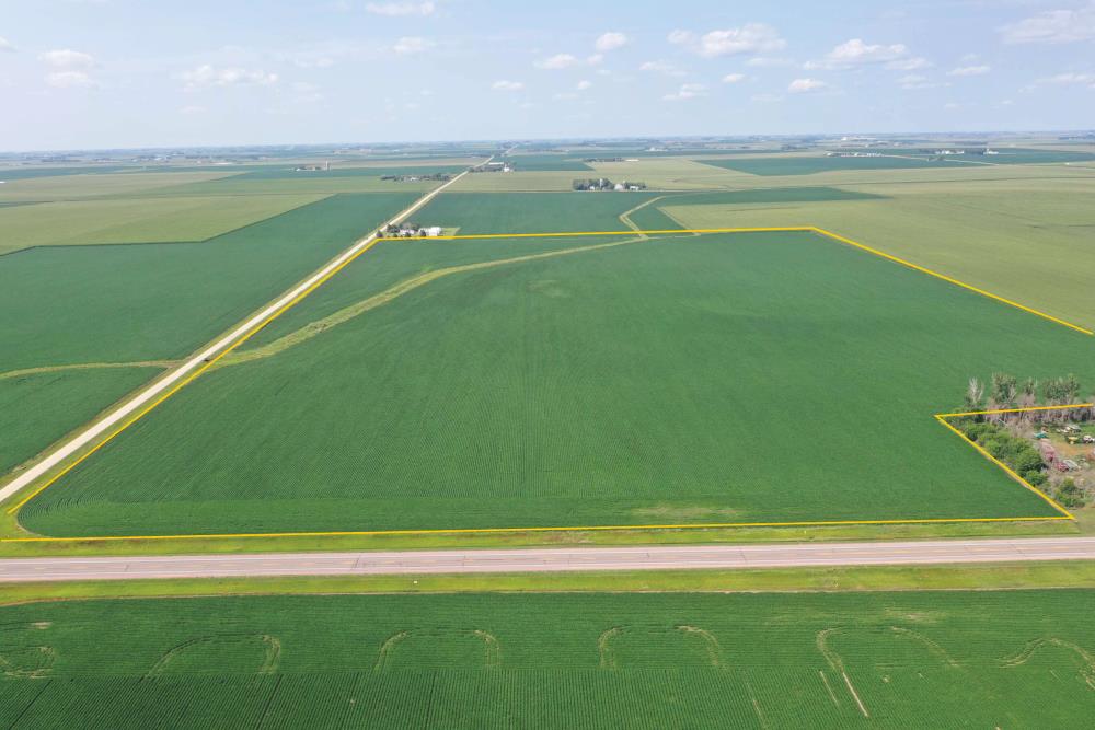 Land for Sale in Sanborn, Iowa — 98.93           AC