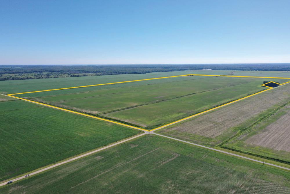 Land for Sale in Beaverville, Illinois — 319.93          AC — $2,527,439.00