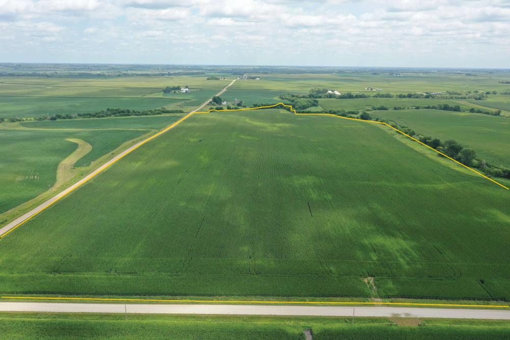 Land for Sale in Bouton, Iowa — 157.96          AC