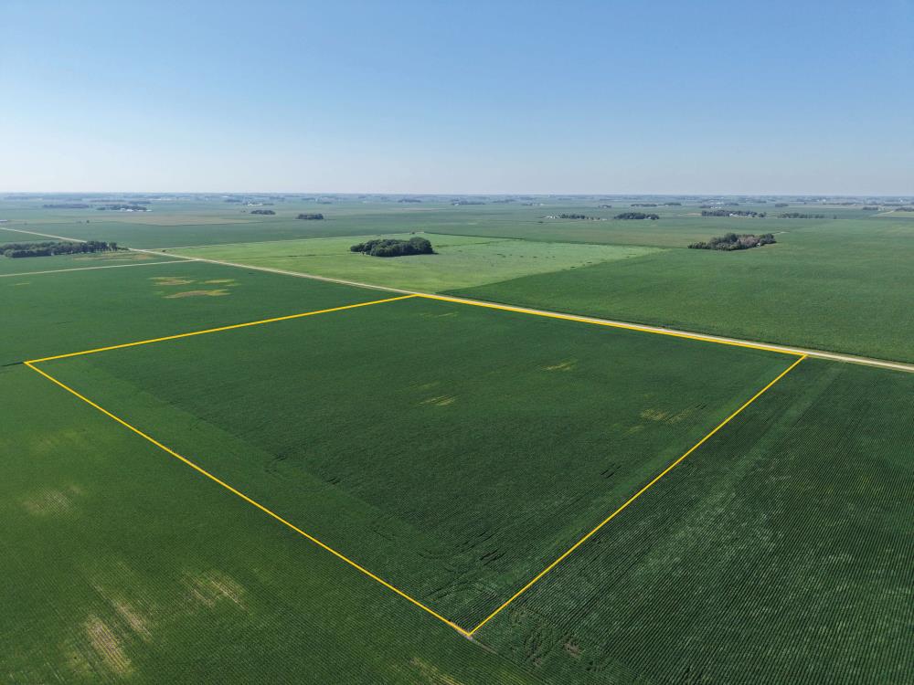 Land for Sale in Norseland, Minnesota — 40.00           AC
