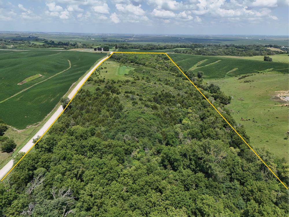Land for Sale in Clutier, Iowa — 40.00           AC