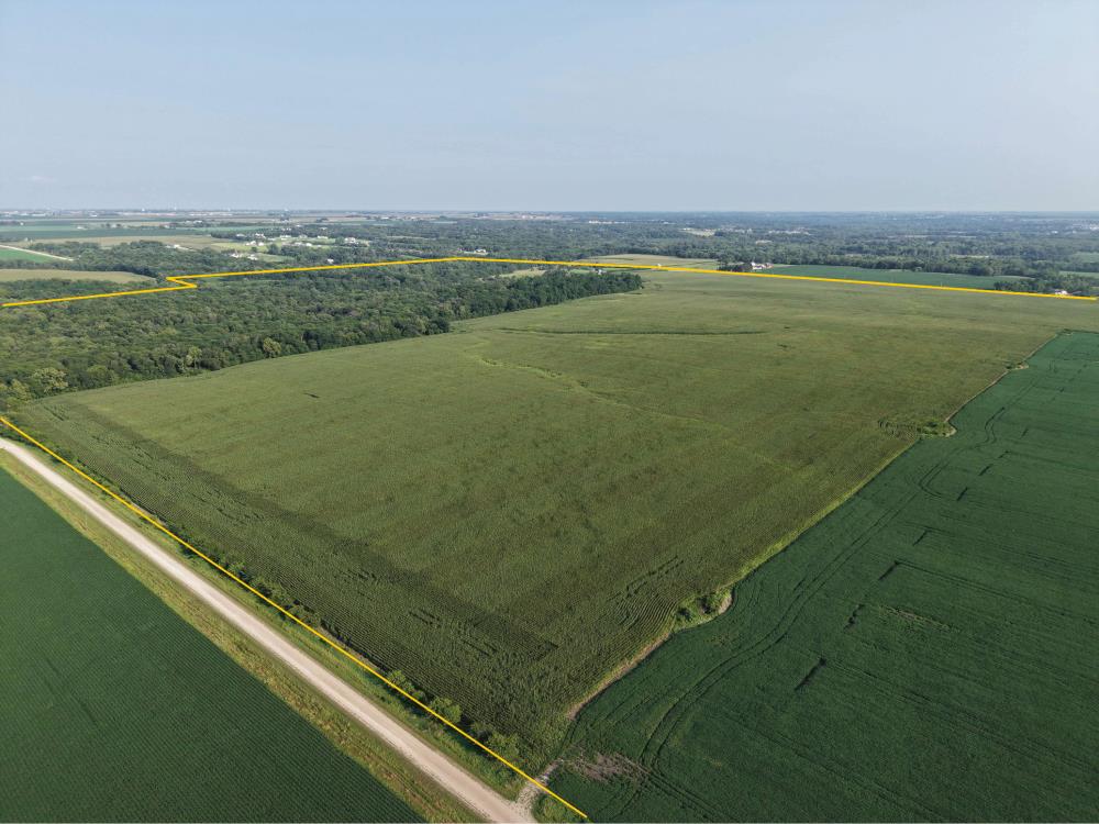 Land for Sale in Adel, Iowa — 82.79           AC