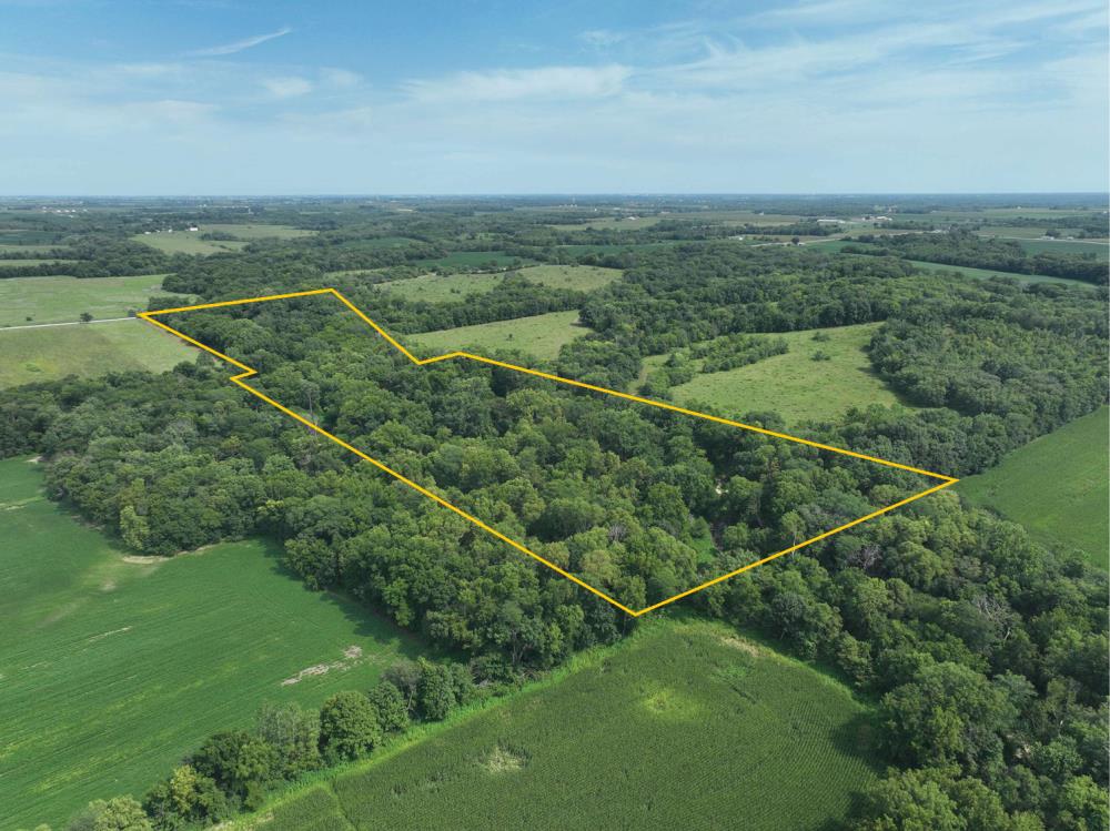 Land for Sale in Wayland, Iowa — 30.17           AC — $199,122.00