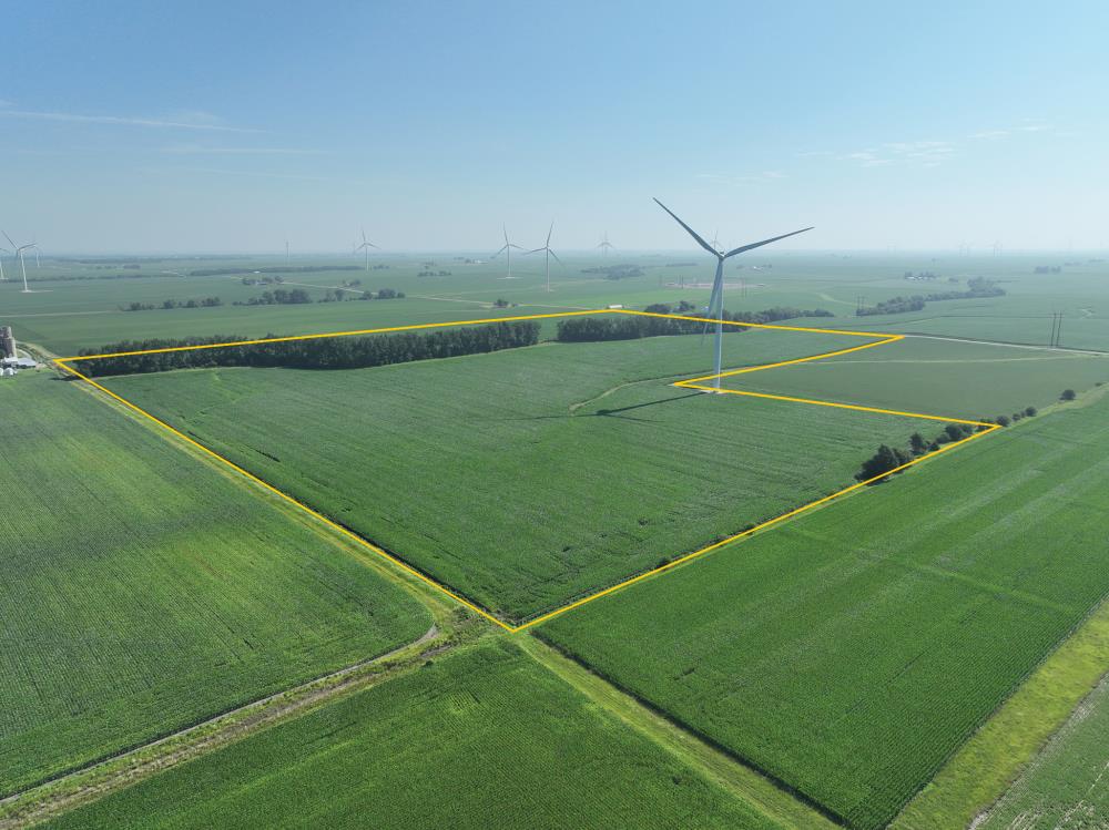 Land for Sale in Waynesville, Illinois — 138.67          AC