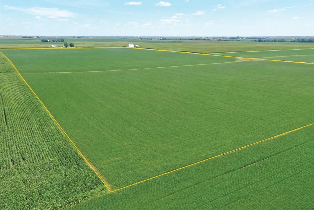 Land for Sale in Brockton, Illinois — 390.72          AC