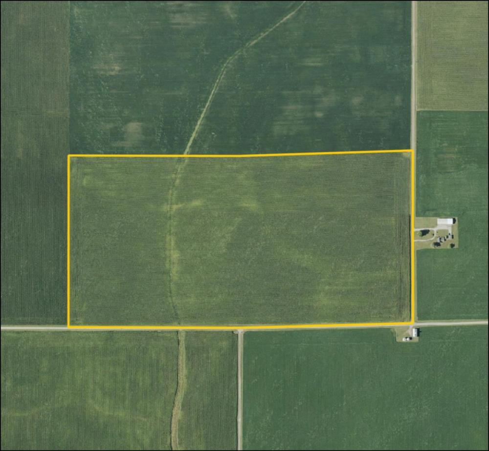 Land for Sale in Brockton, Illinois — 82.32           AC