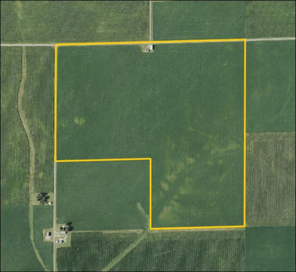 Land for Sale in Brockton, Illinois — 133.78          AC