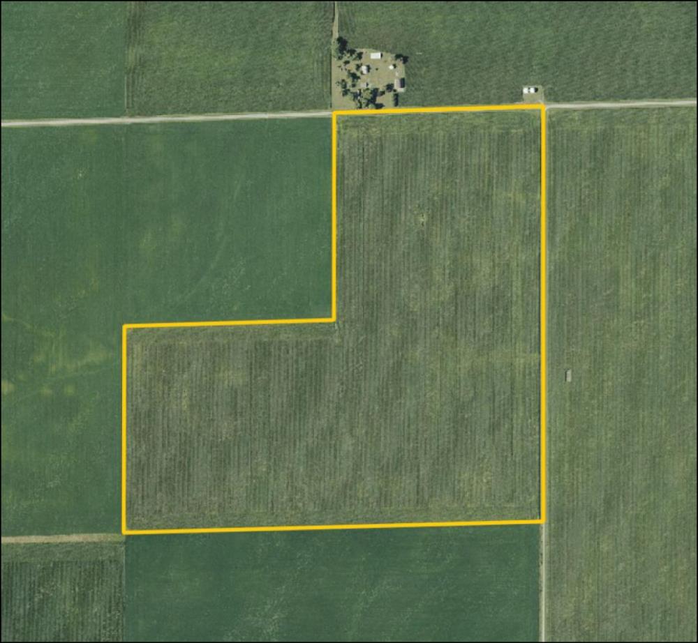 Land for Sale in Brockton, Illinois — 123.33          AC