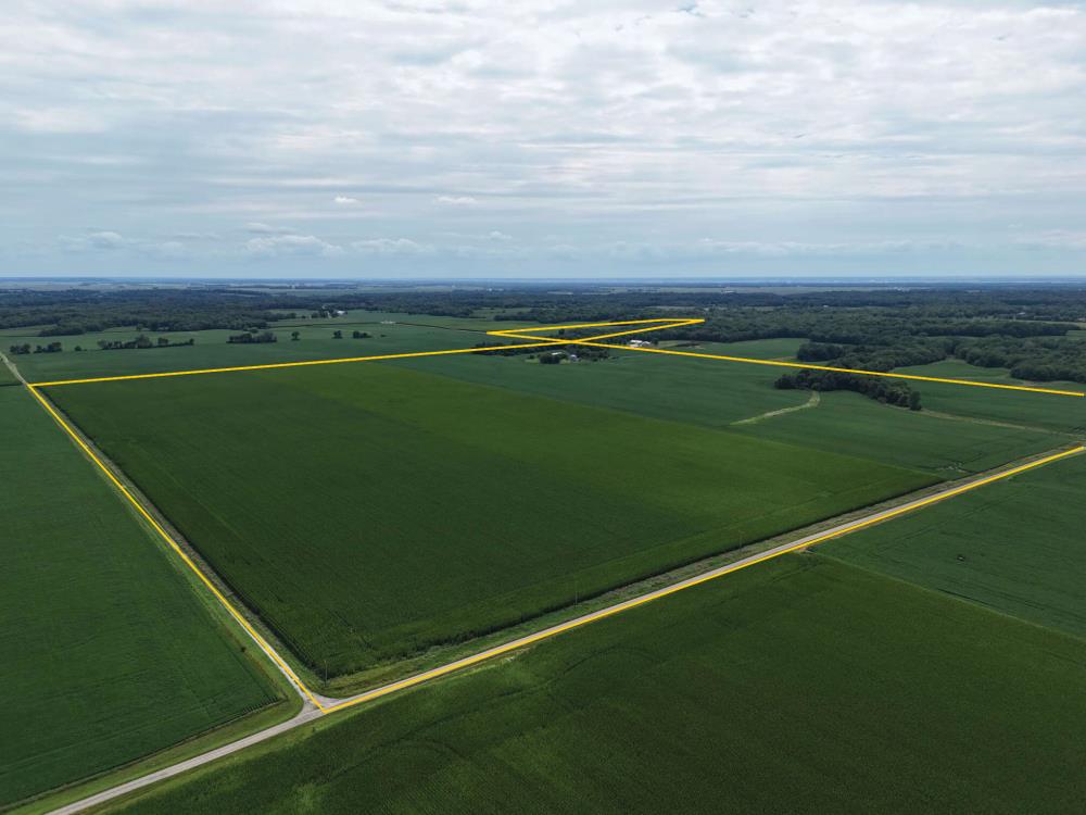Land for Sale in Joy, Illinois — 232.50          AC