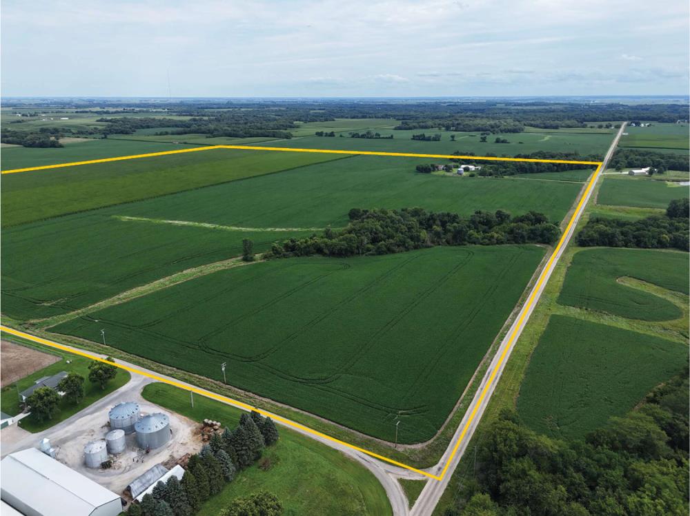 Land for Sale in Joy, Illinois — 160.00          AC
