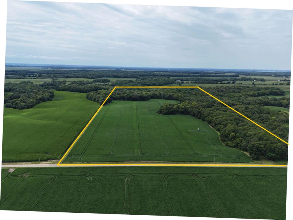 Land for Sale in Joy, Illinois — 72.50           AC