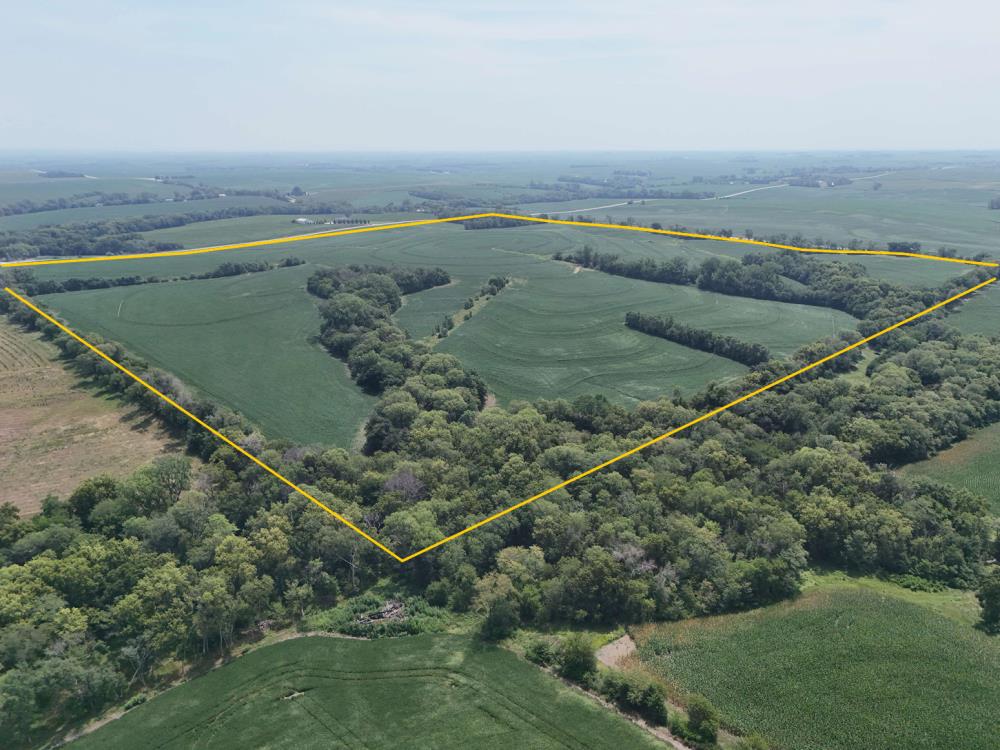 Land for Sale in Louisville, Nebraska — 43.89           AC