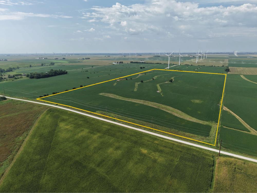 Land for Sale in Zearing, Iowa — 80.00           AC — $982,000.00