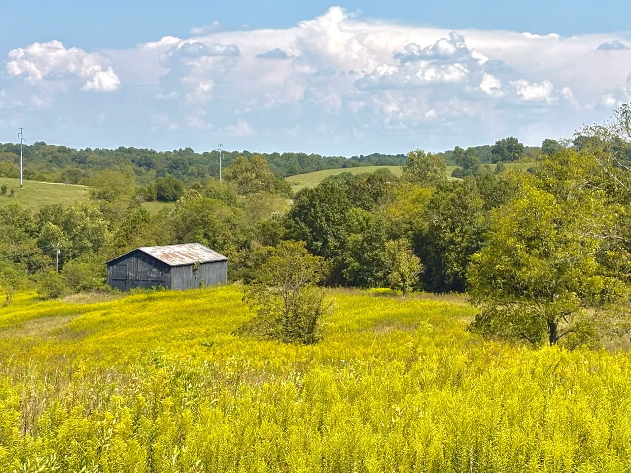 Land for Sale in Sadieville, Kentucky — 324.5           AC