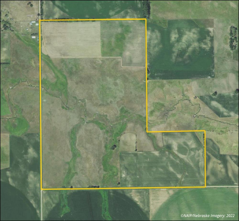 Land for Sale in Brunswick, Nebraska — 271.09          AC — $1,287,678.00