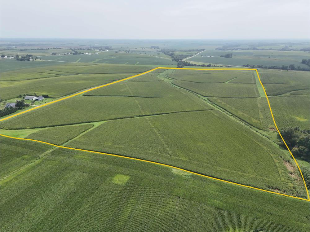 Land for Sale in Nichols, Iowa — 77.28           AC — $908,040.00