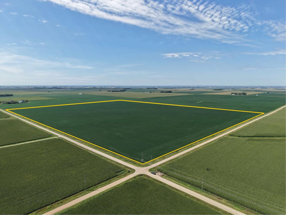 Land for Sale in Marathon, Iowa — 74.50           AC