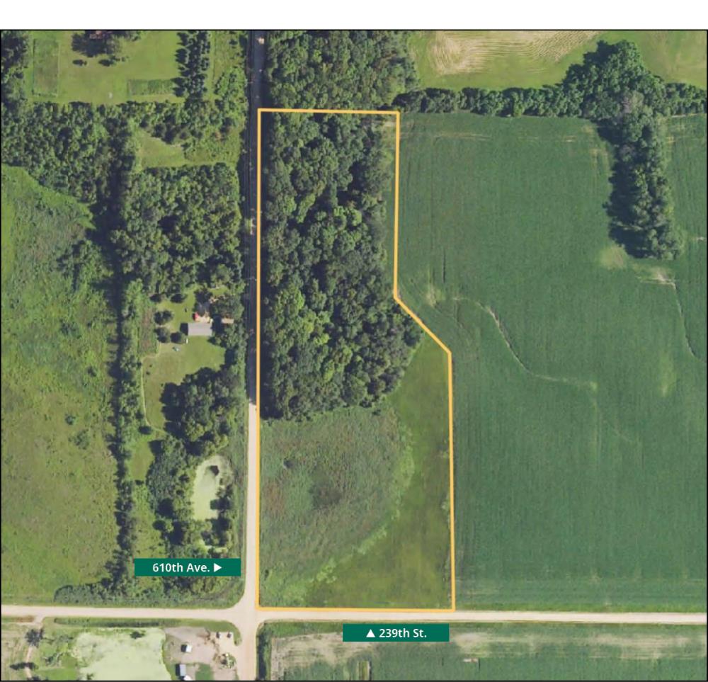 Land for Sale in Madison Lake, Minnesota — 13.09           AC — $100,000.00