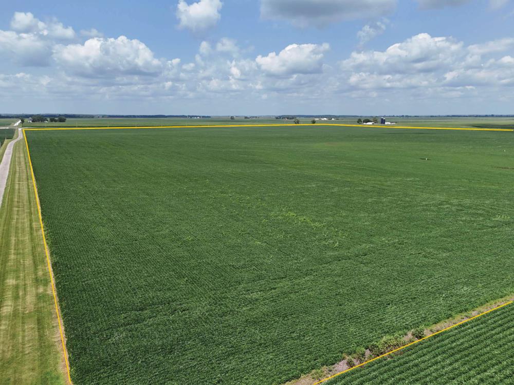 Land for Sale in Geneseo, Illinois — 129.79          AC