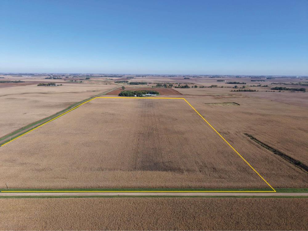 Land for Sale in Dawson, Minnesota — 80.00           AC