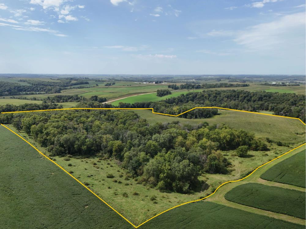 Land for Sale in Cascade, Iowa — 49.06           AC — $564,190.00
