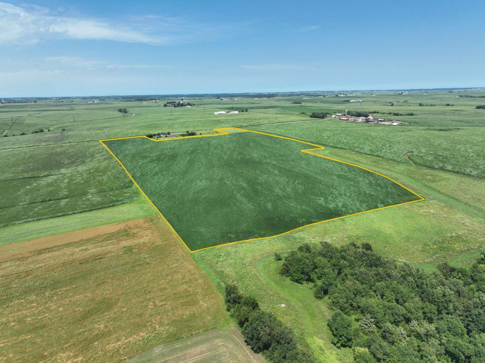 Land for Sale in Greeley, Iowa — 61.00           AC — $869,250.00