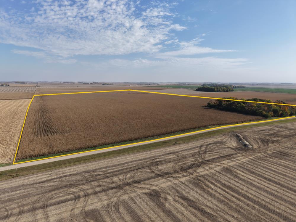 Land for Sale in Seaforth, Minnesota — 80.00           AC — $1,000,000.00
