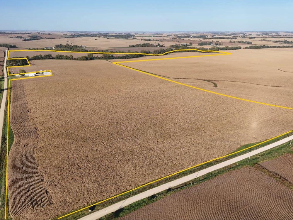 Land for Sale in Wyoming, Iowa — 196.19          AC — $2,795,708.00