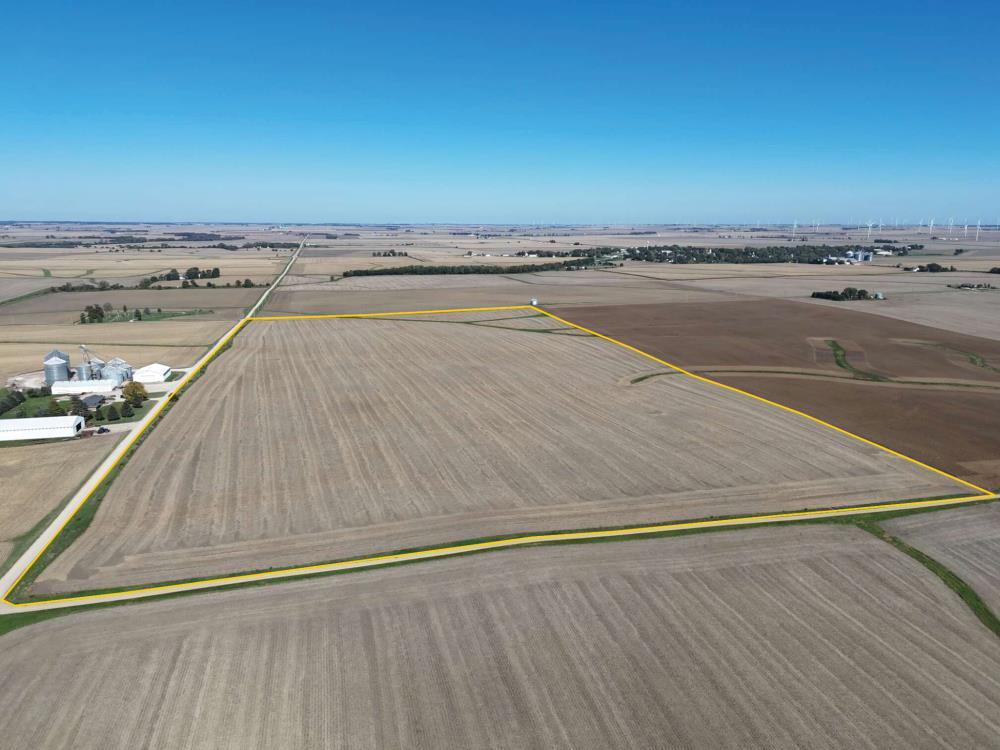 Land for Sale in Castleton, Illinois — 80.00           AC