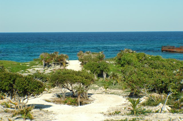 Land for Sale in Long Island — 1.00            AC — BSD $250,000.00