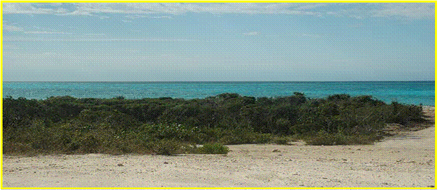 Land for Sale in Long Island — 32,670.00       SF — BSD $180,000.00