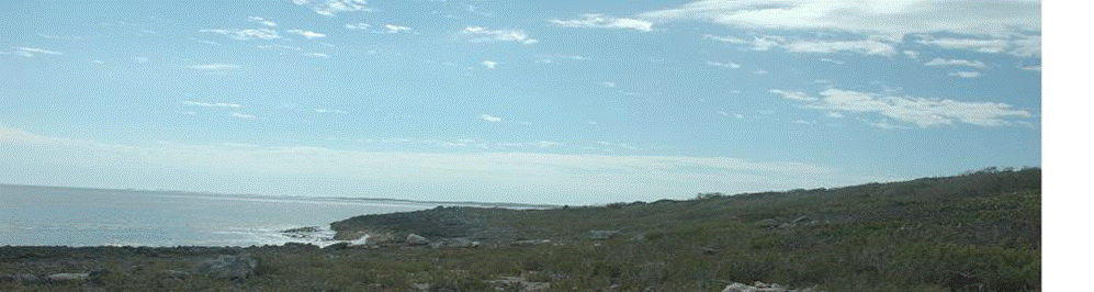 Land for Sale in Long Island — 4.00            AC — BSD $503,500.00