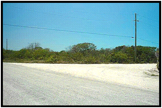 Land for Sale in Long Island — 31,363.00       SF — BSD $180,000.00