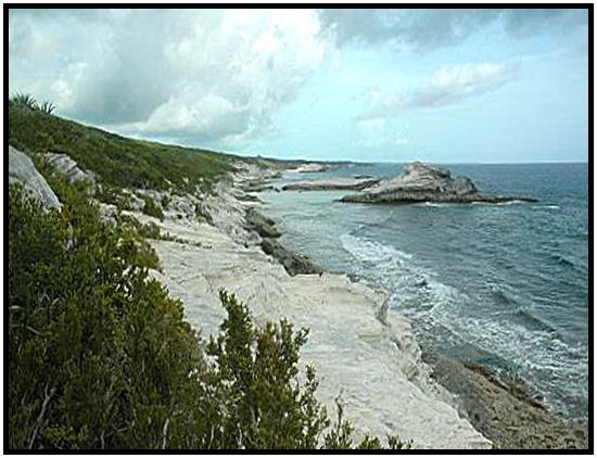 Land for Sale in Long Island — 28.00           AC — BSD $2,300,000.00
