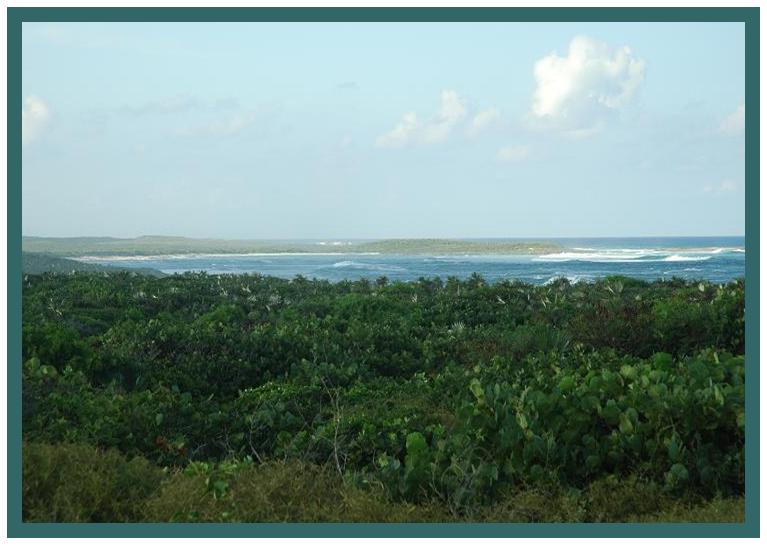 Land for Sale in Long Island — 10.00           AC — BSD $606,100.00