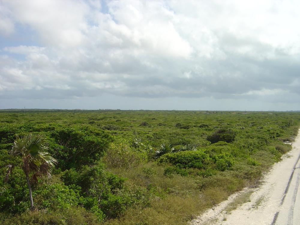 Land for Sale in Long Island — 15,025.00       SF — BSD $50,000.00